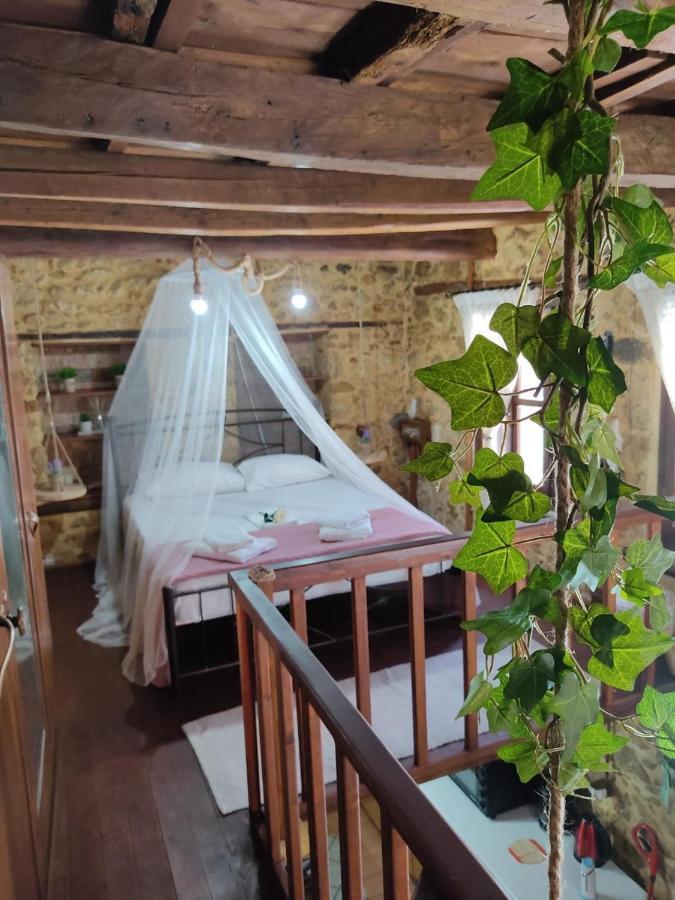 Filia's Traditional Haouse, Old Town In *